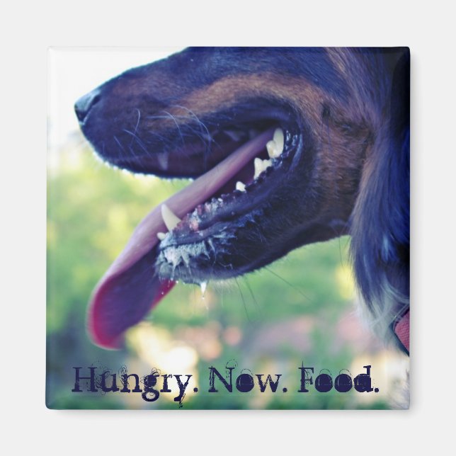 Hungry Magnet for Fridge (Front)