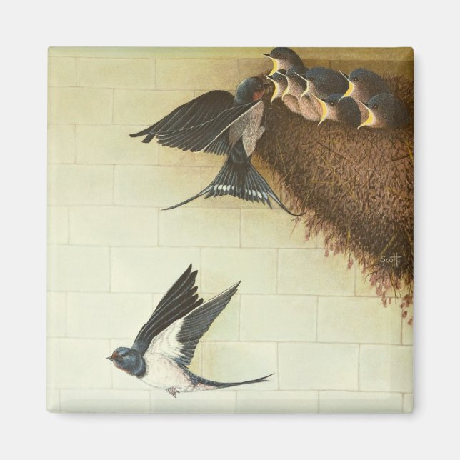 Hungry Mouths 2011 Magnet (Front)