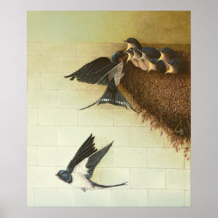 Hungry Mouths 2011 Poster