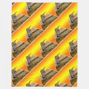 Hungry Otter Eating Fish, Large Fleece Blanket. Blanket