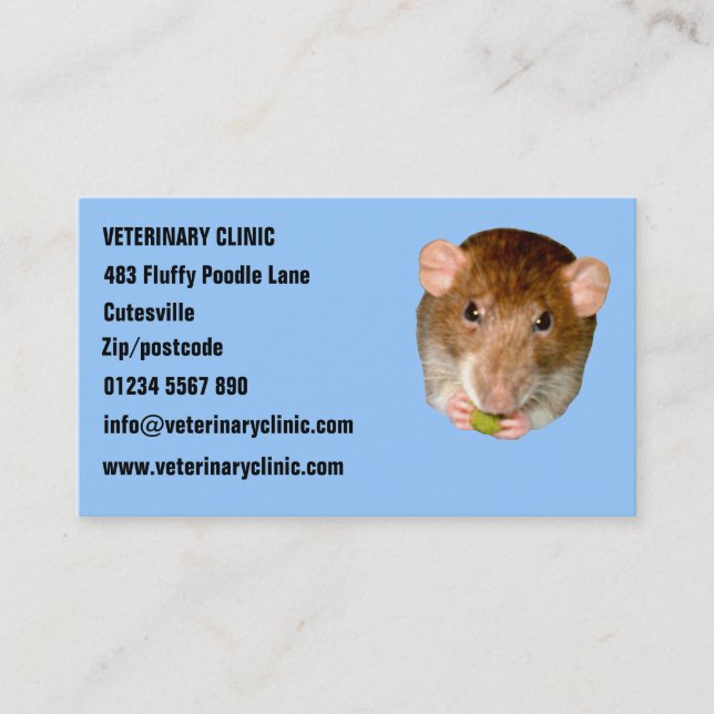 Hungry Rat Customisable Business Card (Front)