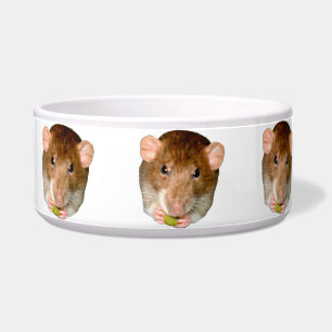 Hungry Rat Dog Bowl