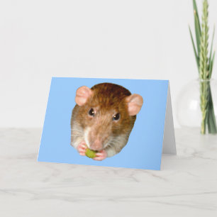 Hungry Rat Greeting Card