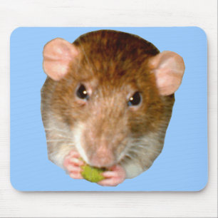 Hungry Rat Mousepad