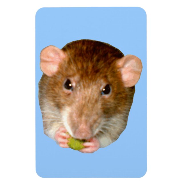 Hungry Rat Premium Magnet (Vertical)