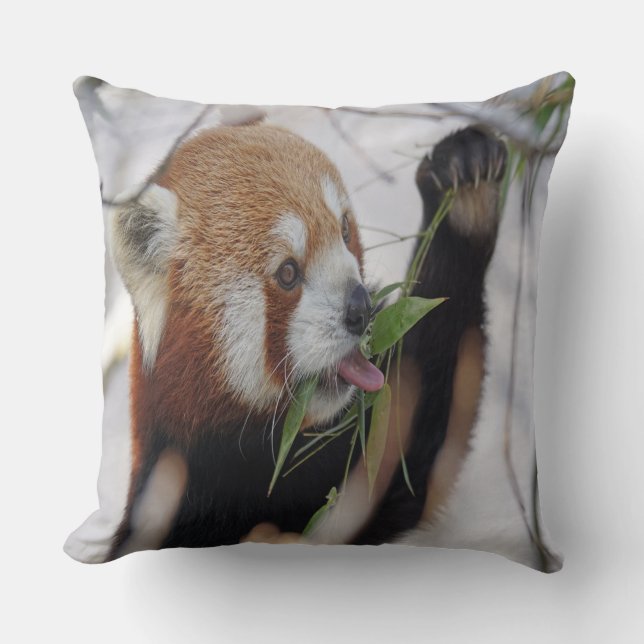 Hungry Red Panda Cushion (Front)