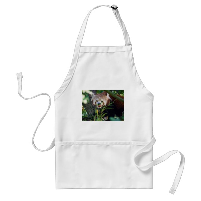 hungry Red panda Standard Apron (Front)