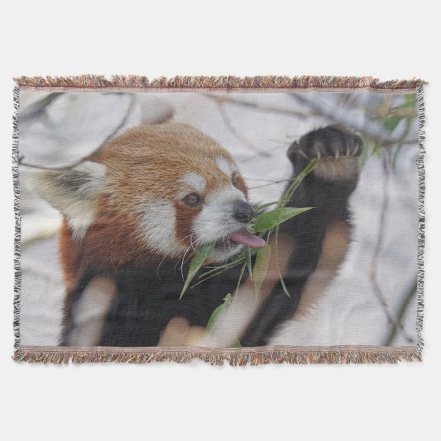 Hungry Red Panda Throw Blanket (Front)