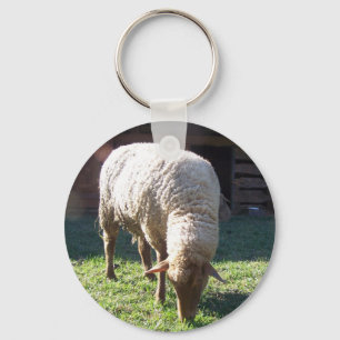 hungry sheep key ring
