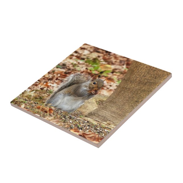 Hungry Squirrel Ceramic Tile (Side)