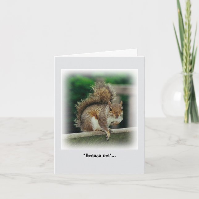 Hungry Squirrel looking for a free handout Card (Front)