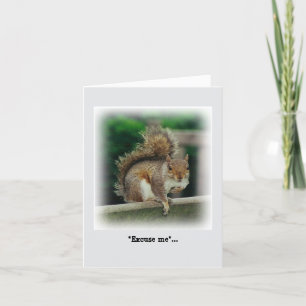 Hungry Squirrel looking for a free handout Card