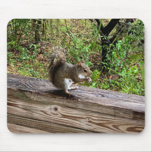 Hungry Squirrel Mouse Pad