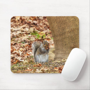 Hungry Squirrel Mouse Pad