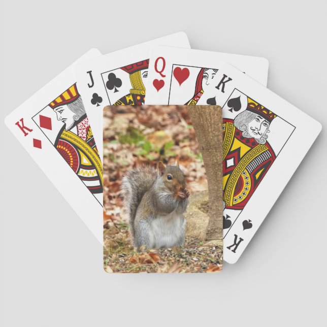 Hungry Squirrel Playing Cards (Back)