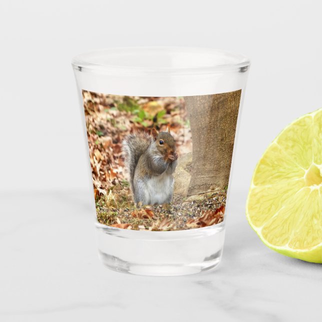 Hungry Squirrel Shot Glass (Front)