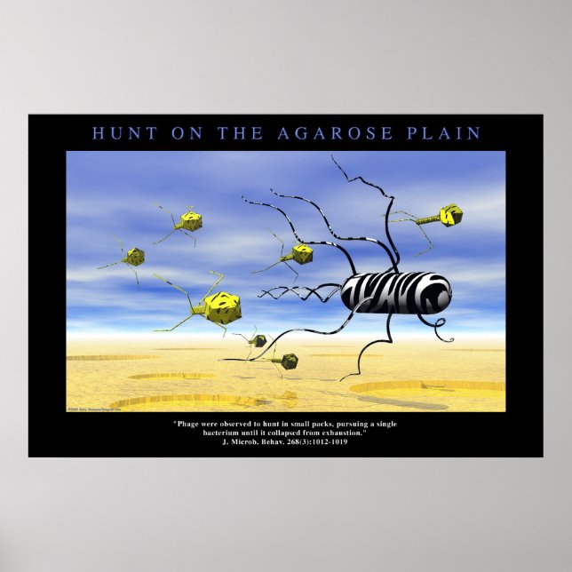 Hunt on the Agarose Plain Poster (Front)