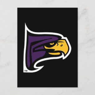 Hunter College Hawk Profile Mascot Postcard