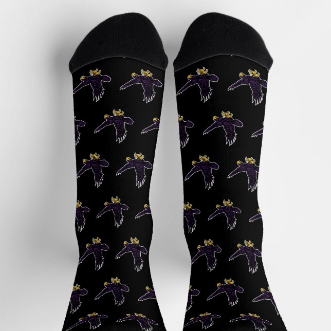 Hunter College Hawk Socks (Top)