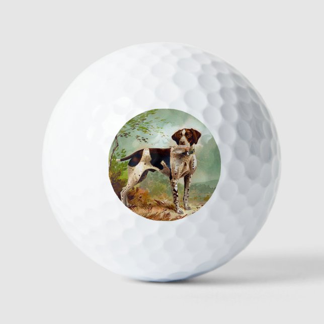 Hunter dog with bird in mouth golf balls (Front)