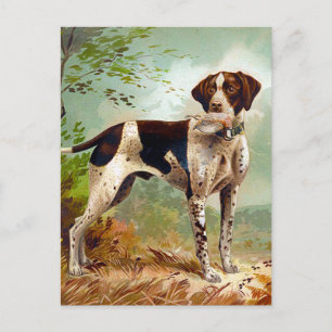 Hunter dog with bird in mouth postcard