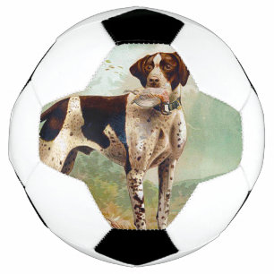 Hunter dog with bird in mouth soccer ball