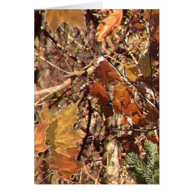 Hunter Forest Camouflage Painting Customise This (Front)