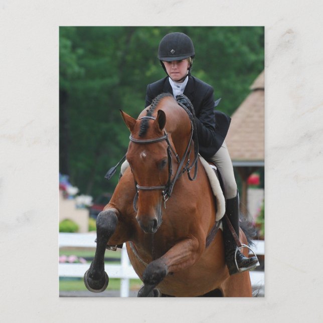 Hunter Horse Show Postcards (Front)