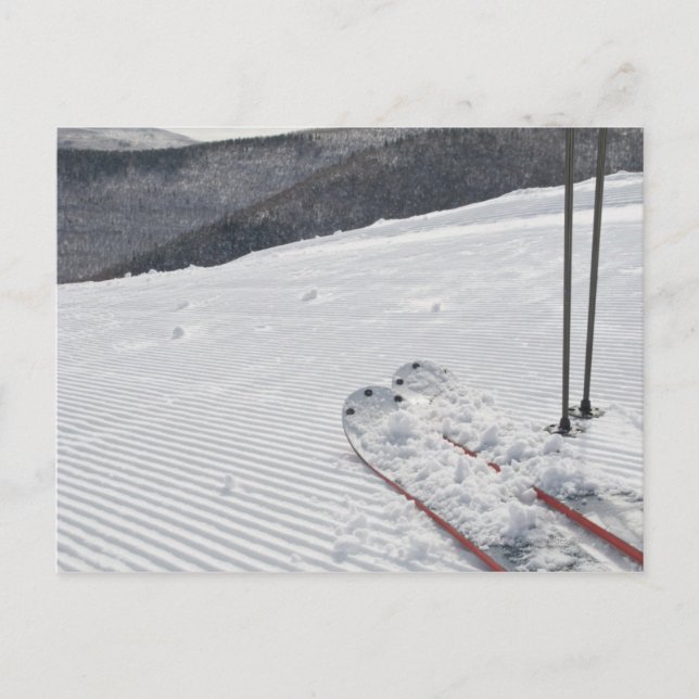 Hunter Postcard (Front)