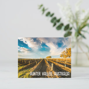 Hunter Valley, Australia  Postcard