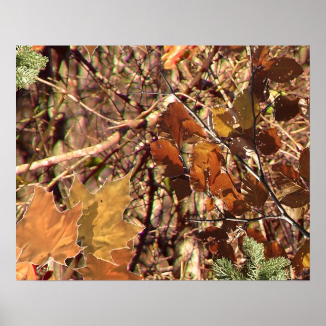 Hunter's Camo Camouflage Painting Customise This! Poster (Front)