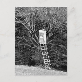 Hunter's Chair Postcard