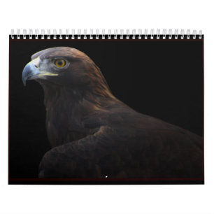 Hunters of the Sky 2014 calendar