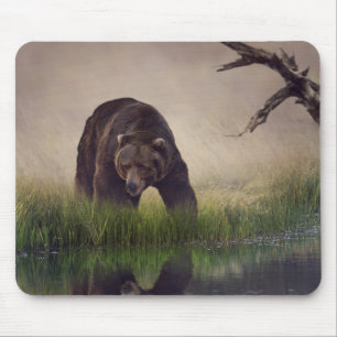 Hunting Brown Bear Mouse Pad