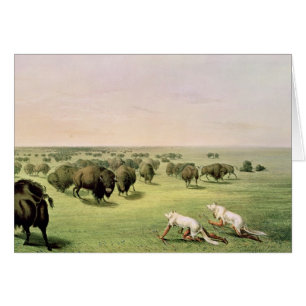 Hunting Buffalo Camouflaged