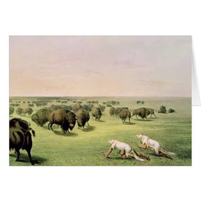 Hunting Buffalo Camouflaged (Front Horizontal)