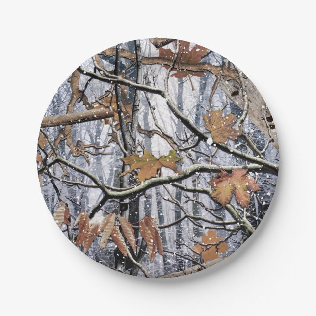 Hunting Camouflage Snow Pattern 3 Paper Plate (Front)