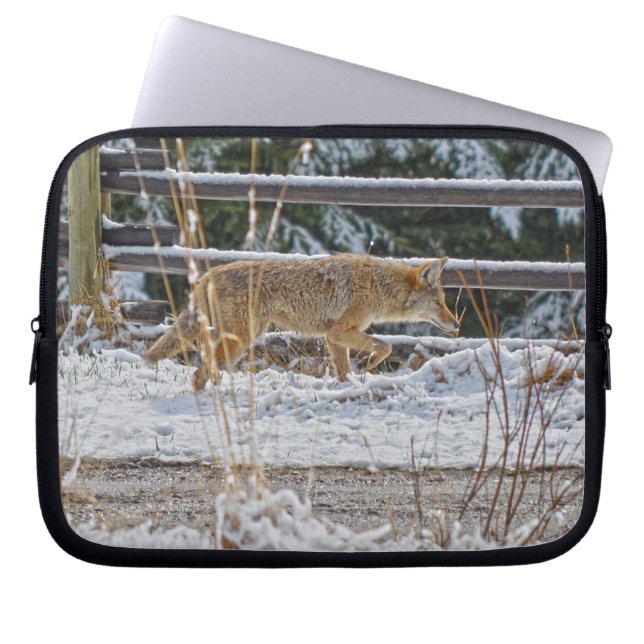 Hunting Coyote and Winter Snow Wildlife Photo Laptop Sleeve (Front)