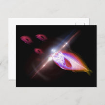 Hunting Dinner X-Ray Fish 1