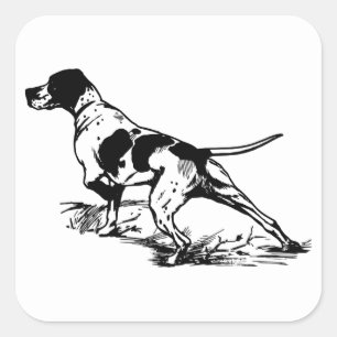 Hunting Dog Square Sticker