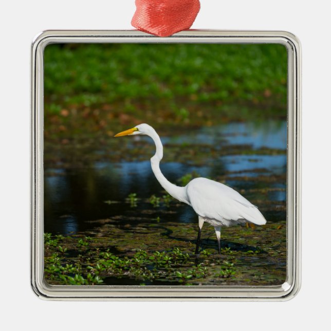 Hunting Egret Metal Ornament (Front)