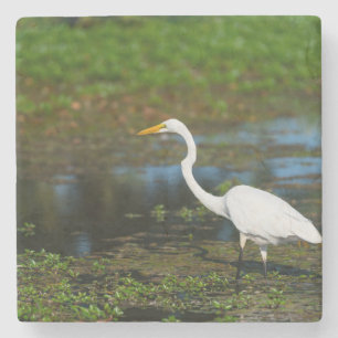 Hunting Egret Stone Coaster