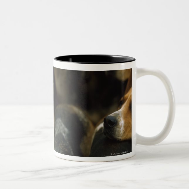 Hunting foxhounds, Galway Blazers, Ireland Two-Tone Coffee Mug (Right)