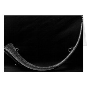 Hunting Horn belonging to Francois I