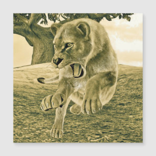 Hunting Lioness