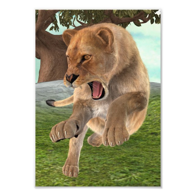 Hunting Lioness Photo Print (Front)
