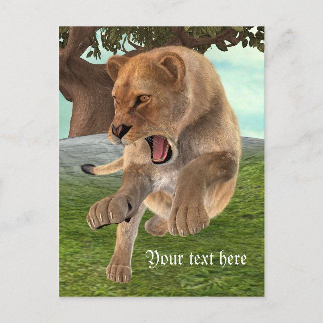 Hunting Lioness Postcard (Front)