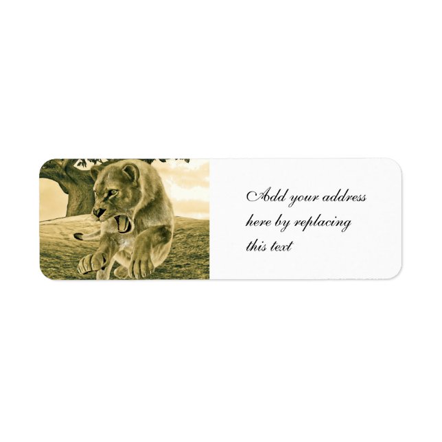 Hunting Lioness Return Address Label (Front)