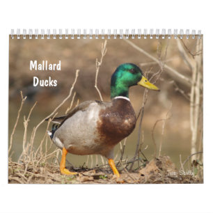 Hunting Mallard Ducks Calendar