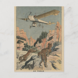 Hunting panthers from an aeroplane in Texas Postcard